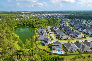 229 Windrow Way, Inlet Beach, FL 32461 - Photo 45