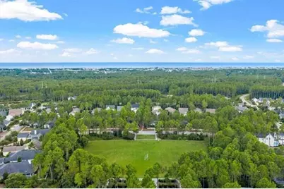 229 Windrow Way, Inlet Beach, FL 32461 - Photo 57