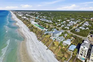 90 Seacrest Dr, Inlet Beach, FL 32461 - Photo 61