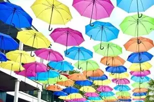 9700 Grand Sandestin Blvd, Miramar Beach, FL 32550 - Photo 27