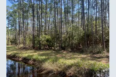 Lot 4 Whisper Lane, Santa Rosa Beach, FL 32459 - Photo 5