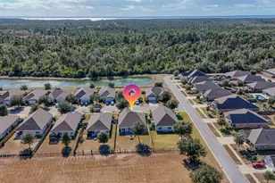 96 Mary Ellen Way, Freeport, FL 32439 - Photo 55