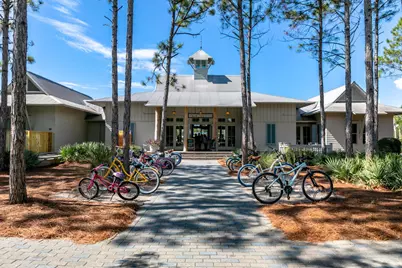 97 E Summersweet Lane E, Santa Rosa Beach, FL 32459 - Photo 53