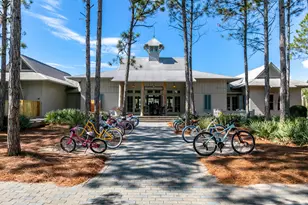 97 E Summersweet Ln E, Santa Rosa Beach, FL 32459 - Photo 53