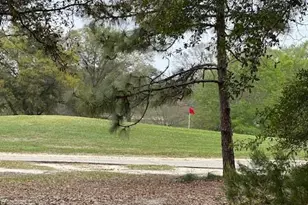 446 Marion Dr, Niceville, FL 32578 - Photo 3