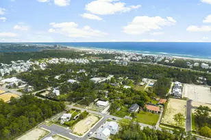 156 Walton Palm Rd, Inlet Beach, FL 32461 - Photo 31