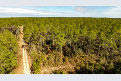 Tbd Tpke Crk Drive, Freeport, FL 32439 - Photo 3