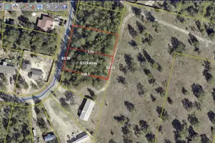 Lot 96 E Raphael East Road E, Defuniak Springs, FL 32433 - Photo 1