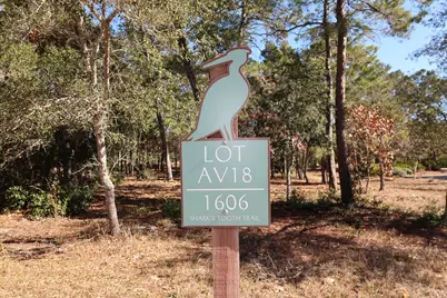 1606 Shark's Tooth Trail, Panama City Beach, FL 32413 - Photo 1