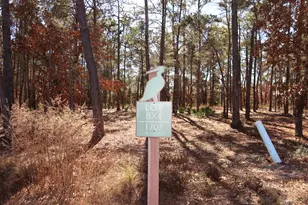 1707 Lost Cove Ln, Panama City Beach, FL 32413 - Photo 1