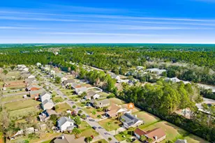 88 Tropical Way, Freeport, FL 32439 - Photo 27