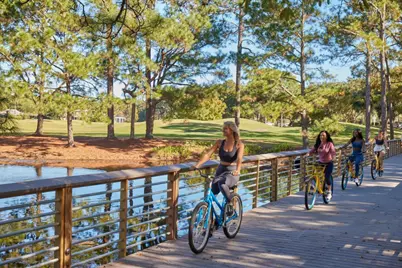 8117 Inspiration Drive #C1, Miramar Beach, FL 32550 - Photo 25