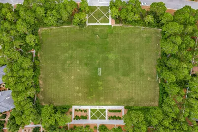 76 Conifer Court, Inlet Beach, FL 32461 - Photo 21