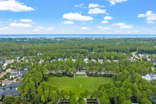 76 Conifer Ct, Inlet Beach, FL 32461 - Photo 23