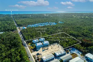 520 S County Hwy 393 S, Santa Rosa Beach, FL 32459 - Photo 43