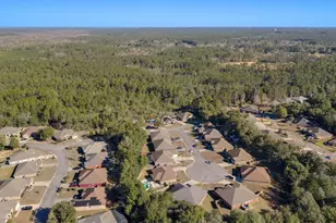 207 Pinque Coat Ct, Crestview, FL 32536 - Photo 43