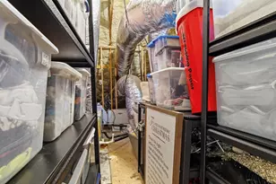 33 Caymus Cv, Freeport, FL 32439 - Photo 61