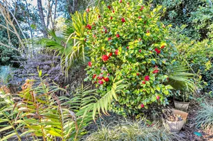 131 Gleneagles Dr, Niceville, FL 32578 - Photo 43