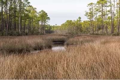 205 W Nursery Road W, Santa Rosa Beach, FL 32459 - Photo 17