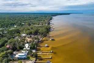 103 Native Tree Ln, Santa Rosa Beach, FL 32459 - Photo 5