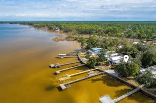 103 Native Tree Ln, Santa Rosa Beach, FL 32459 - Photo 51