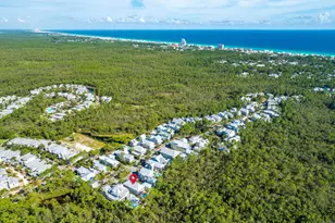 655 E Royal Fern Way E, Santa Rosa Beach, FL 32459 - Photo 67