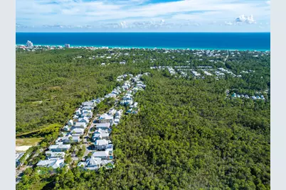 655 E Royal Fern Way E, Santa Rosa Beach, FL 32459 - Photo 73