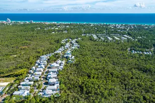 655 E Royal Fern Way E, Santa Rosa Beach, FL 32459 - Photo 73