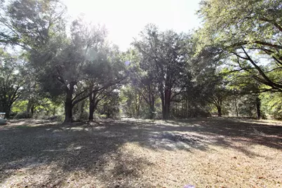 7722 Clary Road, Laurel Hill, FL 32567 - Photo 35