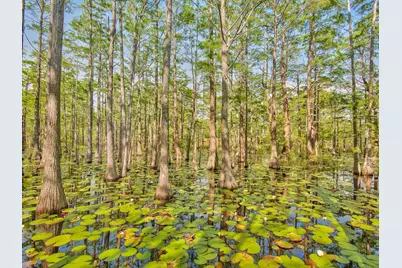 Lot 11B Cypress Passage, Santa Rosa Beach, FL 32459 - Photo 7