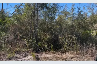 0 N Patrick Street N, Port Saint Joe, FL 32456 - Photo 1