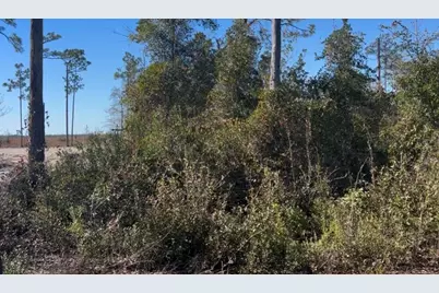 0 N Patrick Street N, Port Saint Joe, FL 32456 - Photo 3