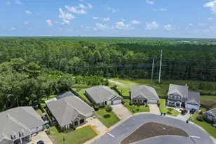 220 Conner Cir, Santa Rosa Beach, FL 32459 - Photo 43