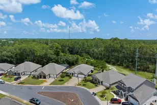 220 Conner Cir, Santa Rosa Beach, FL 32459 - Photo 41