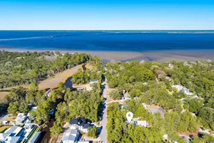 556 Little Canal Dr, Santa Rosa Beach, FL 32459 - Photo 53