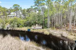 30 Lake Mist Ln, Inlet Beach, FL 32461 - Photo 41