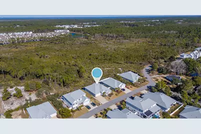 53 Palmer Lane, Santa Rosa Beach, FL 32459 - Photo 61