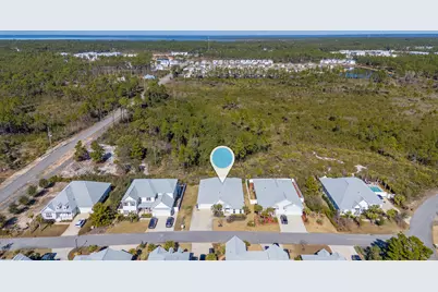 53 Palmer Lane, Santa Rosa Beach, FL 32459 - Photo 57