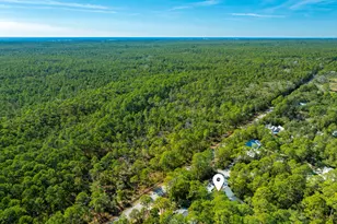 611 Amelia Ln, Santa Rosa Beach, FL 32459 - Photo 59