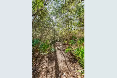 611 Amelia Lane, Santa Rosa Beach, FL 32459 - Photo 55