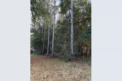 Lot 23 Whispering Way, Freeport, FL 32439 - Photo 3