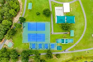 741 Cocobolo Dr, Santa Rosa Beach, FL 32459 - Photo 63