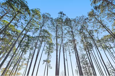 354 Driftwood Point Road, Santa Rosa Beach, FL 32459 - Photo 19