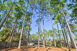 354 Driftwood Point Rd, Santa Rosa Beach, FL 32459 - Photo 17