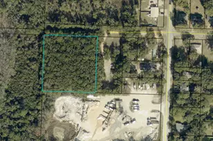 1 94 Acres NE Second Ave NE, Crestview, FL 32539 - Photo 1