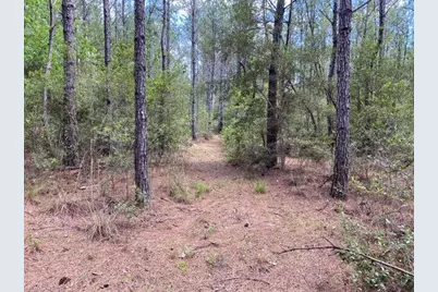 Tbd Southern Comfort Way, Laurel Hill, FL 32567 - Photo 5