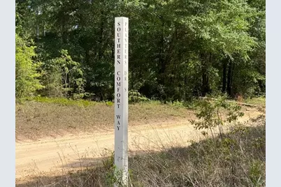 Tbd Southern Comfort Way, Laurel Hill, FL 32567 - Photo 3