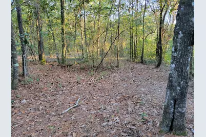 000 Hardwood Lane, Ponce de Leon, FL 32455 - Photo 1