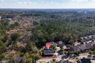 9 Laurel Oaks Dr, Freeport, FL 32439 - Photo 43