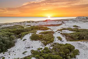 260 Magnolia St, Santa Rosa Beach, FL 32459 - Photo 19